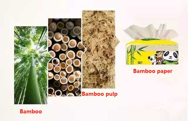 bamboo pulping papermaking