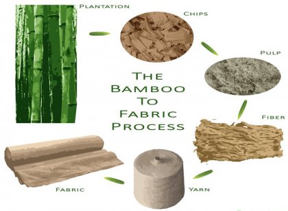 What is the prospect of bamboo pulp making