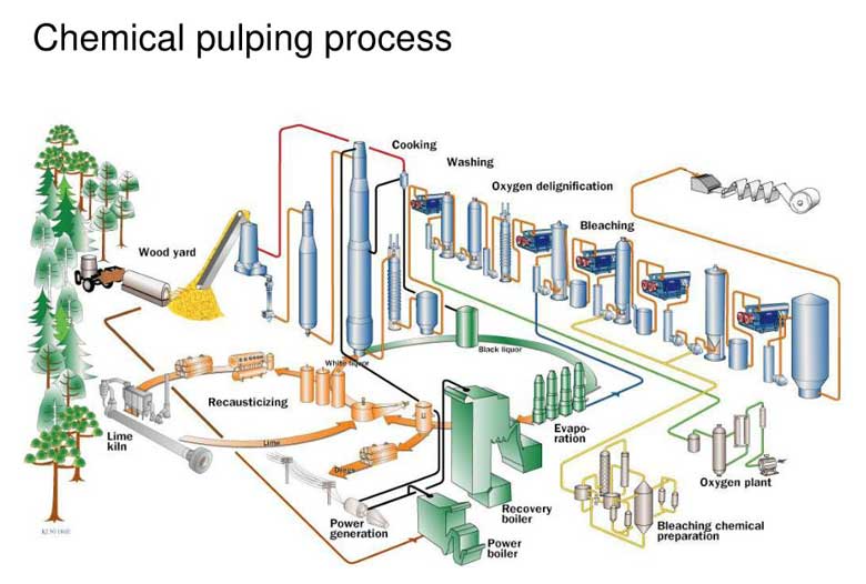 chemical pulping process