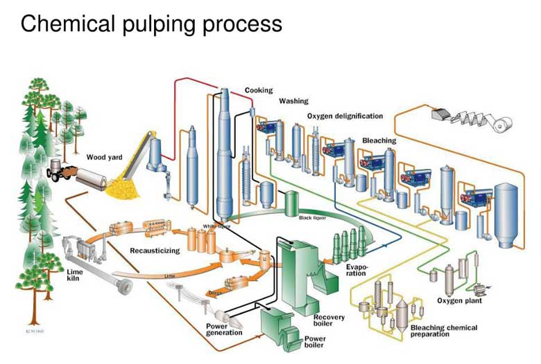 Different Methods Of Pulping With Bagasse Raw Material