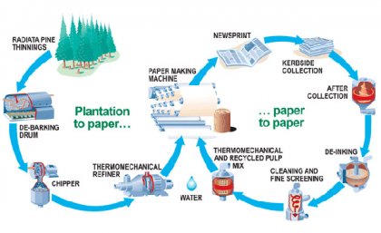 Process of pulp and papermaking