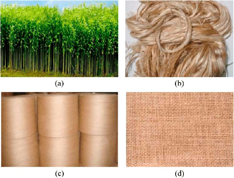 What Is Jute? Uses and Impact of This Sustainable Fabric